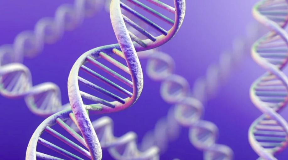 Как узнать о своим происхождении по ДНК?